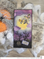 Preview: Witchy Fun, Clearstamp - Impronte d'Autore