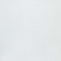 Preview: Vellum Paper Pearled Silver - Tonic Studios