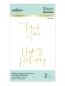 Preview: Stylish Script Thank You & Happy Birthday, Hot Foil Plate - Spellbinders