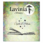 Preview: Book of Spells, Clearstamp - Lavinia Stamps
