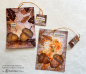 Preview: Acorns, Clearstamp - Lavinia Stamps