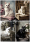 Preview: Shabby Cats A5 Paperpack - Paper Favourites