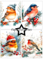 Preview: Christmas Birds A6 Paperpack - Paper Favourites