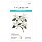 Preview: Mock Orange, Stanze - Spellbinders