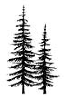 Tree Duo Lg, Stempel - Stampscapes
