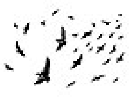 Flock, Stempel - Stampscapes