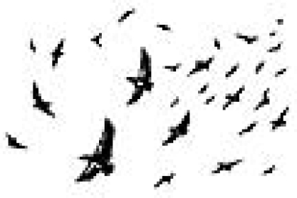 Flock, Stempel - Stampscapes