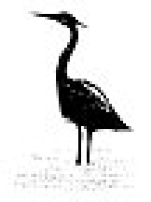 Crane in Water, Stempel - Stampscapes