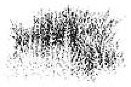 Grass Texture, Stempel - Stampscapes