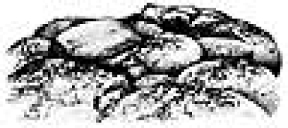 Boulders with Lichen (Small), Stempel - Stampscapes