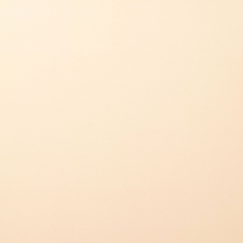 Cardstock Smooth, Raffia - Florence