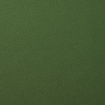 Cardstock Smooth, Pine - Florence