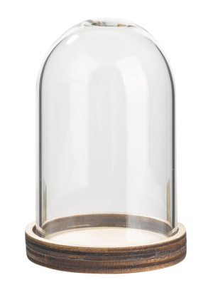 Glas-Glocke mit Holzboden - HobbyFun