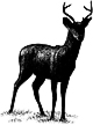 Deer Silhouette, Stempel - Stampscapes