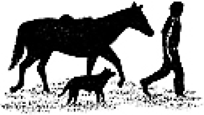 Horse - Dog - Man, Stempel - Stampscapes
