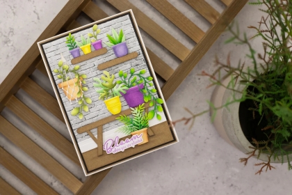 House Plants And Pots, Stanze - Crafter's Companion