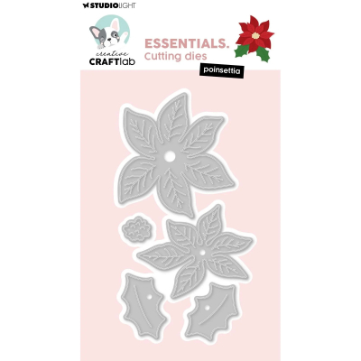 Poinsettia, Stanze - Studiolight