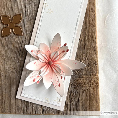 Preview: 3D Sternblume, Stanze - Alexandra Renke