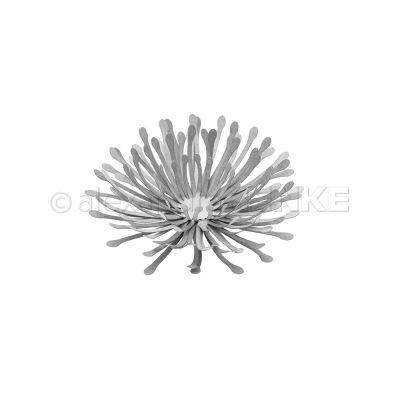 3D Pusteblume, Stanze - Alexandra Renke