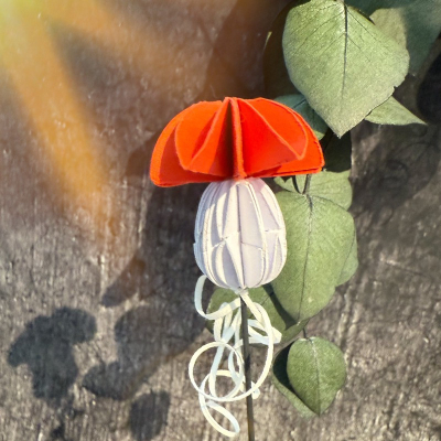 Glückspilz Mini, Stanze - Farbton Papier