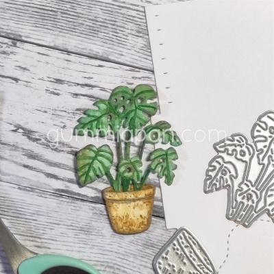 Monstera im Topf, Stanze - Gummiapan