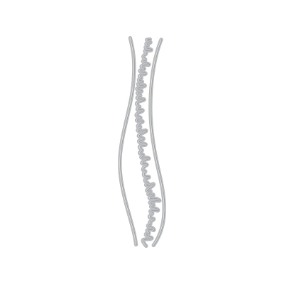 Preview: Landscape, Stanze - Hero Arts