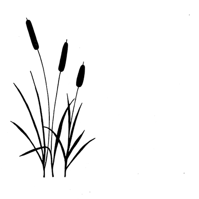Bulrushes, Clearstamp - Lavinia Stamps