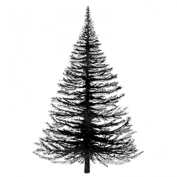 Fir Tree, Clearstamp - Lavinia Stamps