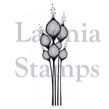 Fairy Thistles, Clearstamp - Lavinia Stamps