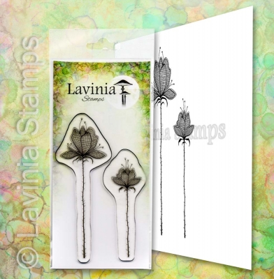 Lilium Set, Clearstamp - Lavinia Stamps