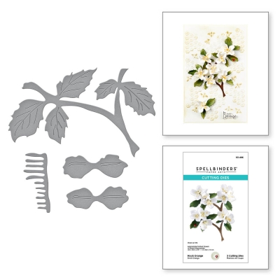 Mock Orange, Stanze - Spellbinders