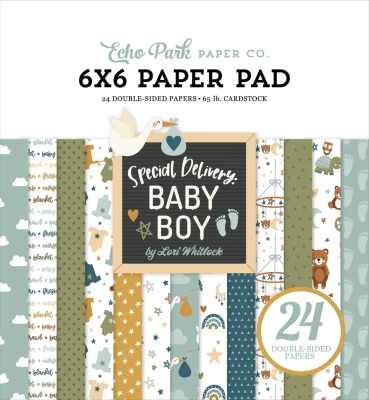 Special Delivery Baby Boy 6x6 Paperpad - Echo Park