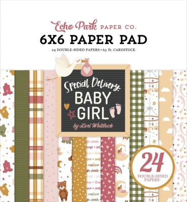 Special Delivery Baby Girl 6x6 Paperpad - Echo Park