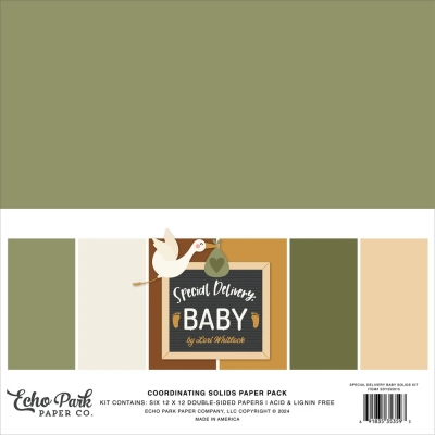 Special Delivery Baby 12x12 Coordinating Solids - Echo Park