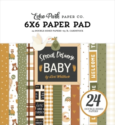 Special Delivery Baby 6x6 Paperpad - Echo Park