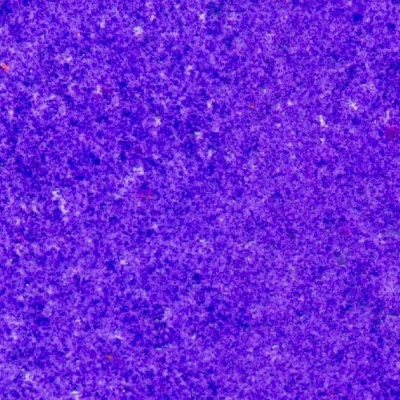 Embossing Primary - Indigo - WOW