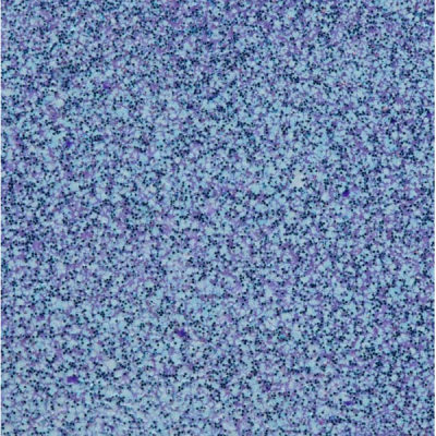 Embossing Glitters - Niagara Blues - WOW