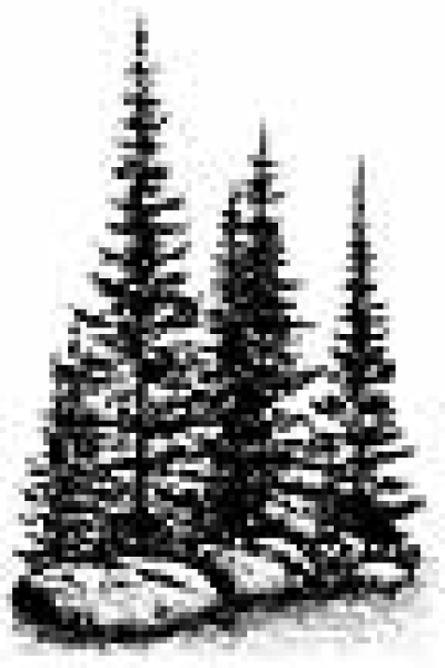 Pines & Rocks Small, Stempel - Stampscapes