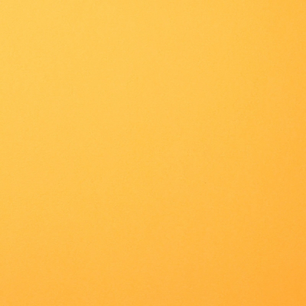 Cardstock Smooth, Honey - Florence