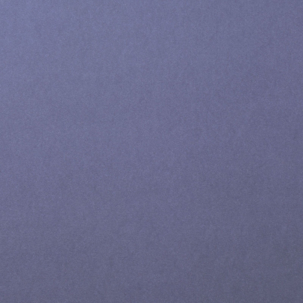 Cardstock Smooth, Steel - Florence