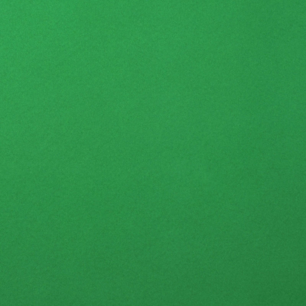 Cardstock Smooth, Holly - Florence