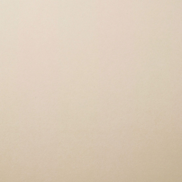 Cardstock Smooth, Cool Grey - Florence