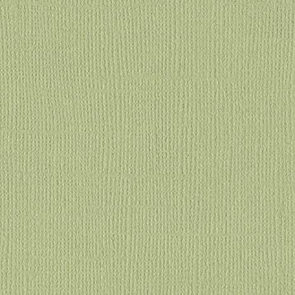 Cardstock Leinenstruktur, Pear - Bazzill