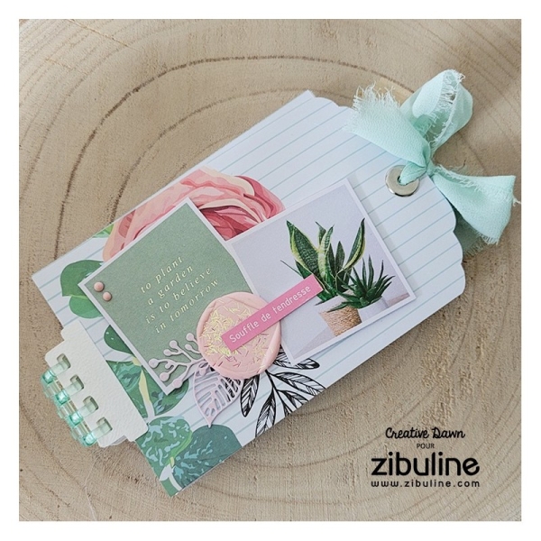 Plastikspirale Mint Transparent - Zibuline
