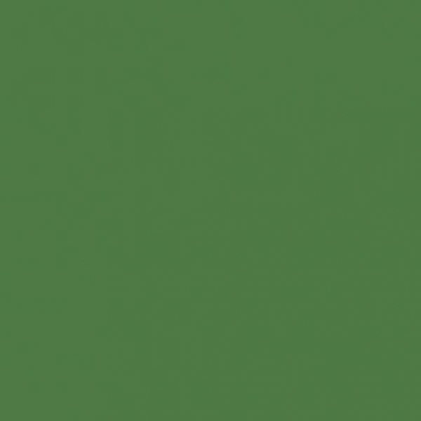 Cardstock glatt, Holiday Green - My Colors Cardstock