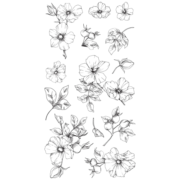 Wildflower Botanicals, Stempel - Sizzix
