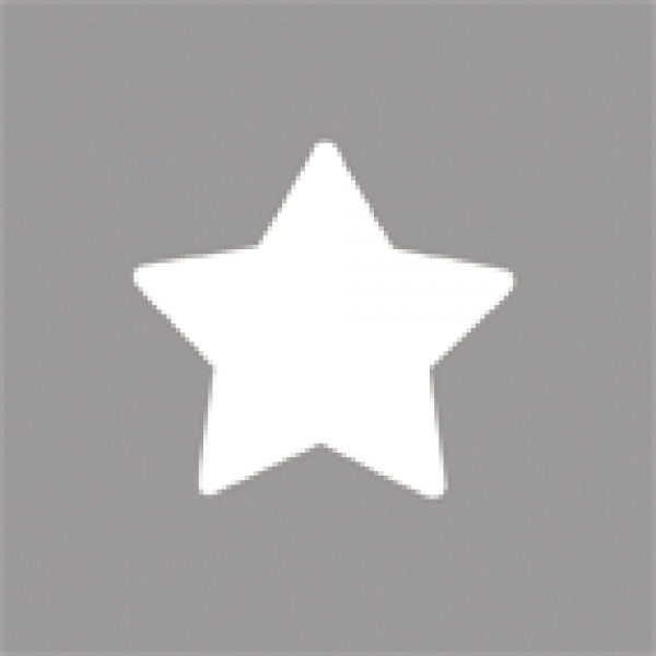 Motivstanzer Stern - Rayher