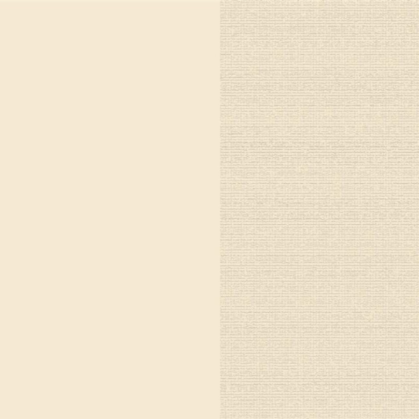 Premium Cardstock 12"x12", Vanilla - ARDEN Creative Studio