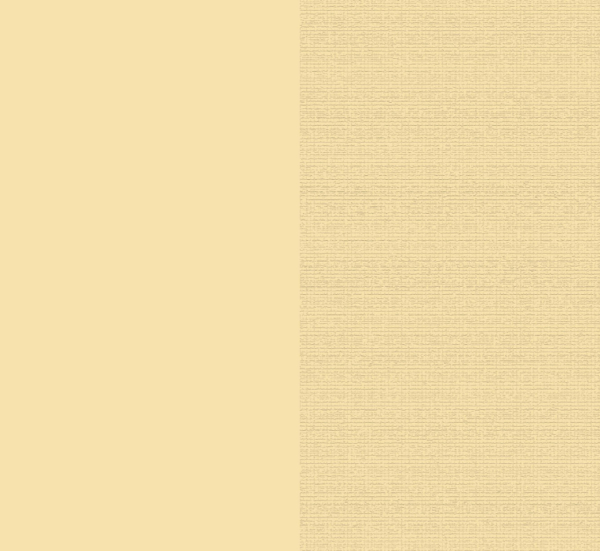 Premium Cardstock 12"x12", Chamois - ARDEN Creative Studio