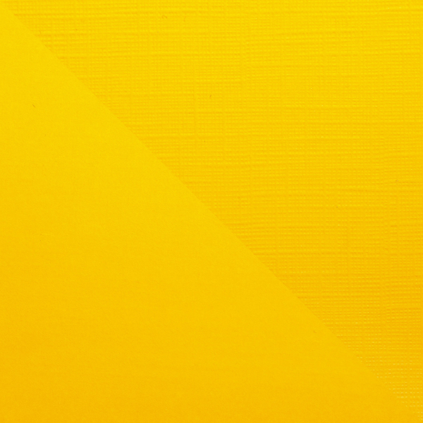 Premium Cardstock 12"x12", Sunflower - ARDEN Creative Studio